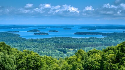 Scenic Archipelago Island Landscape Summer View