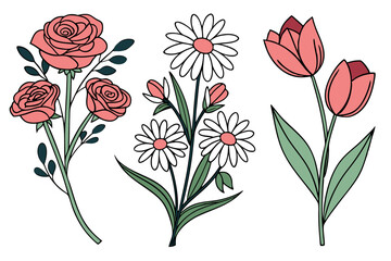 Set of flower vector