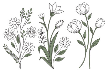 Set of flower vector