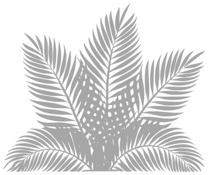Motif de feuilles de palmier grises sur fond clair, illustration botanique minimaliste, design tropical &eacute;pur&eacute;, ambiance naturelle et douce