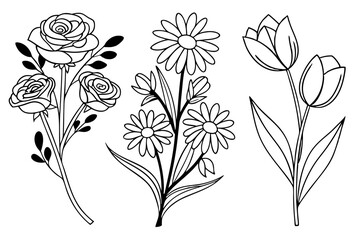 flower vector set