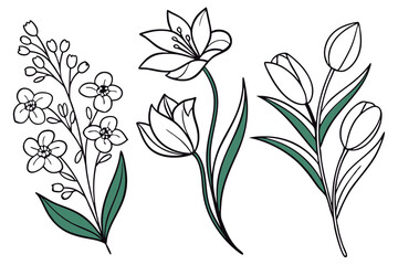Set of flower vector