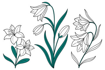 Set of flower vector