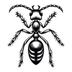Ant Insect, Detailed Black and White Drawing with Intricate Patterns, Full View