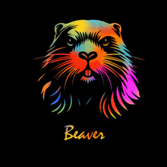 Beaver colored head on black background. hand drawing. Not AI, Vector illustration