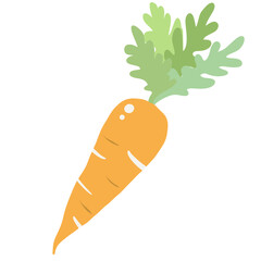 Carrot Illustration of fresh vegetables hand-drawn flat vector elements Organic Food Invitations, gifts, greeting cards, print, textile