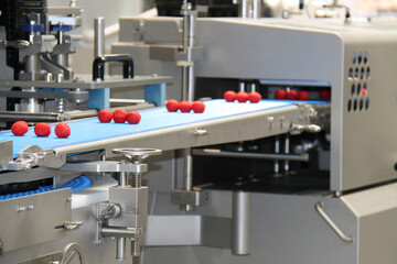An Automated Food Production Machine Working Display.