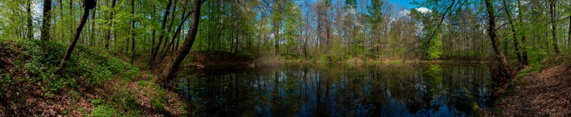 Panorama of forest lakes in spring, young leaves and freshly blossomed buds of trees and shrubs