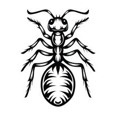 Detailed Black and White Ant Insect, Isolated, Outline, Wildlife, Bug