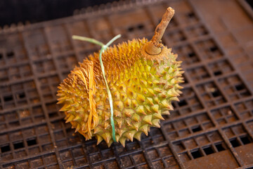 Durian for sale
