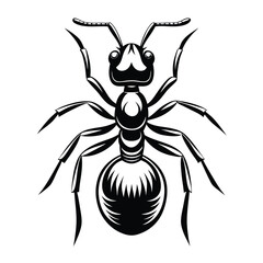 Detailed Black and White Ant on White Backdrop with Visible Antennas