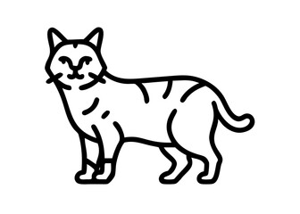 Fototapeta premium Icon of a simple line drawing of a cat. american bobtail.