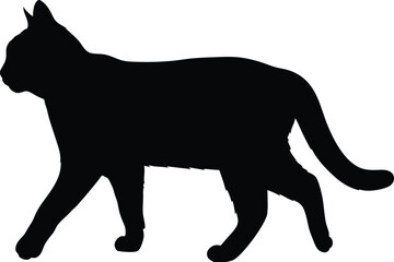 Black Cat Silhouette Walking Gracefully Against a White Background