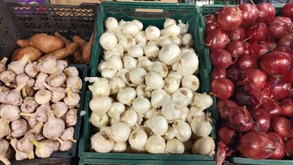 Fresh variety of garlic and onions displayed at market. concept of organic produce, culinary ingredients, farm fresh vegetables