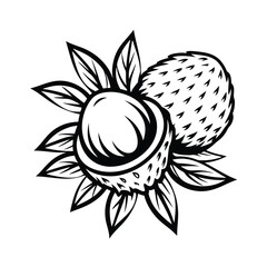 Lychee Fruits with Leaves, Black and White Exotic Food Art, Asian Tropical Fruit, Lineart