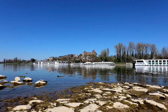 Blick von der Ile du Rhin auf Breisach bei Niedrigwasser