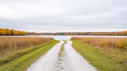 Naklejka premium Autumnal pathway leading to a tranquil lake. Golden foliage frames a gravel road