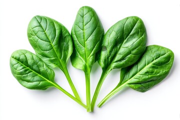 Fototapeta premium Fresh Spinach Leaves - Five vibrant green spinach leaves arranged in a fan shape against a white background. Perfect for healthy eating, cooking, and nutrition content