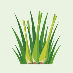 Obraz premium Lemongrass and Citrus Herb Clipart in Flat Design
