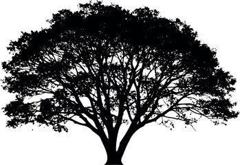 Black silhouette of a tree on white background. Minimalist and elegant natural shape, perfect for design projects, nature illustrations, logos, tattoo references, and decorative artistic compositions.