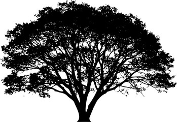 Fototapeta premium Black silhouette of a tree on white background. Minimalist and elegant natural shape, perfect for design projects, nature illustrations, logos, tattoo references, and decorative artistic compositions.