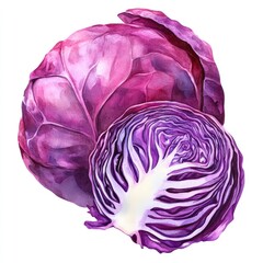 Obraz premium Vibrant purple cabbage, whole head and cross-section, detailed watercolor illustration