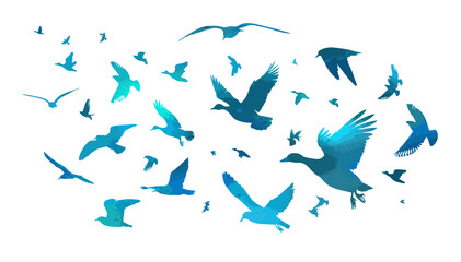 A blue flock of ducks and seagulls flying. hand drawing. Not AI. Vector illustration.