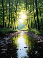 Obraz premium Sunlit Forest Stream - Serene stream flowing through a sun-dappled forest, reflecting the trees and sky. Peaceful nature scene