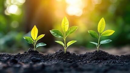 Portfolio diversification principles to spread investments across various asset classes and sectors, reducing risk by minimizing the impact of poor-performing assets on overall investment returns.