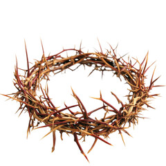 Fototapeta premium Thorn crown made of intertwined branches, symbolizing suffering and sacrifice, isolated