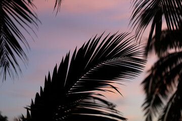 Coucher de soleil tropical