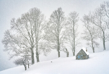 Snowy alpine abandonned house in the woods of Trasnylvanian Alps, Romania, Europe. Blizzard winter landscape with an abandonned chalet.	