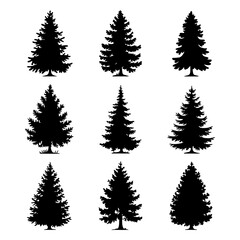 Spruce Tree Silhouette Vector Bundle Black and White Spruce Tree Clipart EPS Illustration