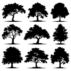 Sycamore Silhouette Vector Bundle Black and White Sycamore Clipart EPS Illustration