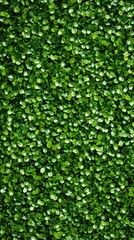 Dense, vibrant green foliage texture