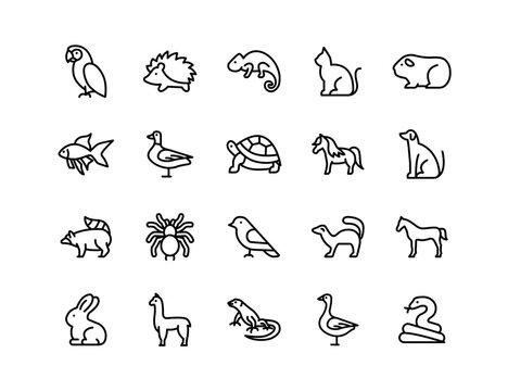 Pets Vector Icon Set | Adjustable Line Weight | Parrot, hedgehog, chameleon, guinea pig, cat, dog, rabbit, turtle, horse, snake, aquarium fish, pony, spider icons