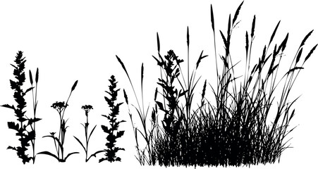 Black silhouette of nature elements on white background. Minimal landscape with trees, plants, birds, and mountains for design projects, tattoo inspiration, logos, and natural artistic compositions.