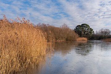 The ornamental lake on southampton common on an icy day