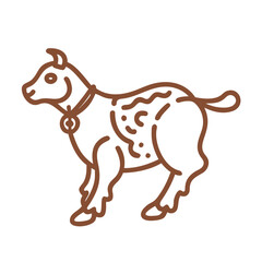  Balochi Lamb Sajji