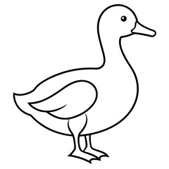 duck on a white background