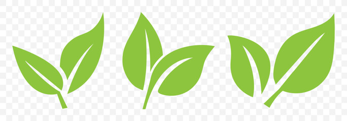 Set of green leaf icons. Leaves of trees and plants. Leaves icon. Collection green leaf. Elements design for natural, eco, bio, vegan labels. Vector illustration. EPS 10.