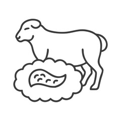  Delicious Ground Lamb for Family Meals