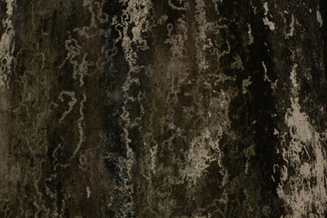 Abstract Dark Texture with Organic Patterns and Subtle Shades