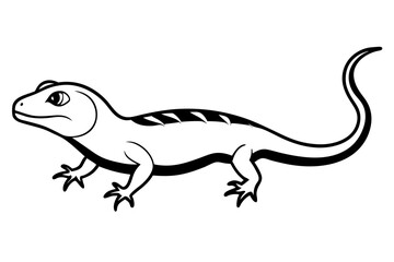 lizard silhouette line art vector illustration with a white background