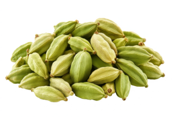 Pile of green cardamom pods on transparent background