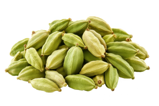 Pile of green cardamom pods on transparent background
