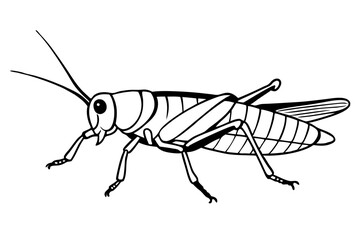 locust silhouette line art vector illustration with a white background