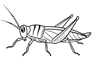 locust silhouette line art vector illustration with a white background