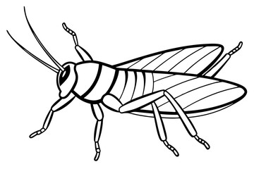 locust silhouette line art vector illustration with a white background