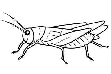 locust silhouette line art vector illustration with a white background
